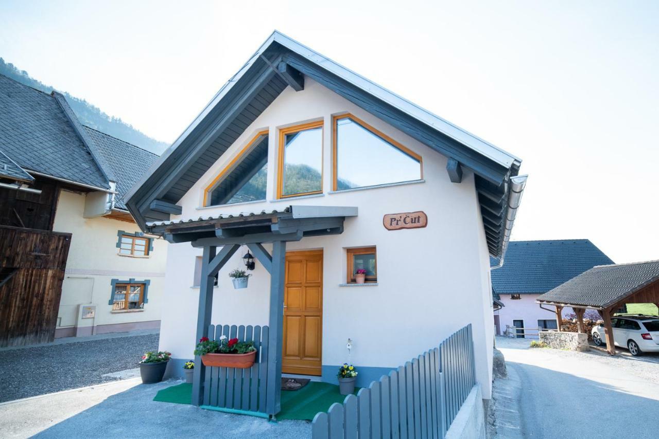 Guest House Pr' Cut Zirovnica Exteriér fotografie